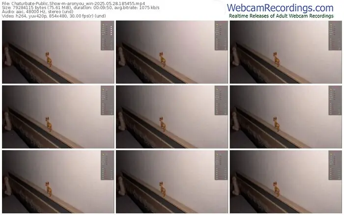 chaturbate-aronyou_win-05-28-2025-18-54-55