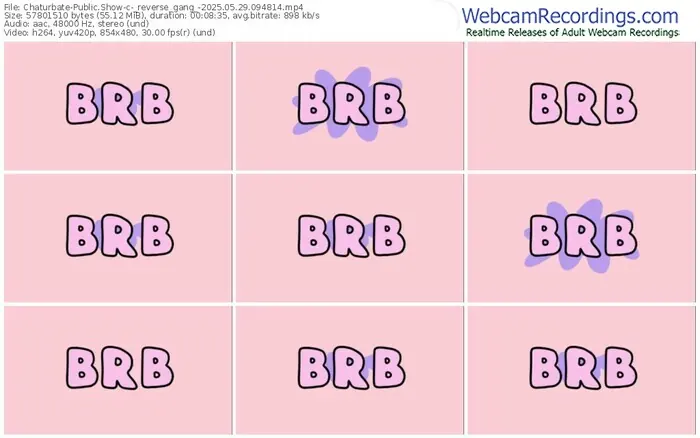 chaturbate-_reverse_gang_-05-29-2025-09-48-14