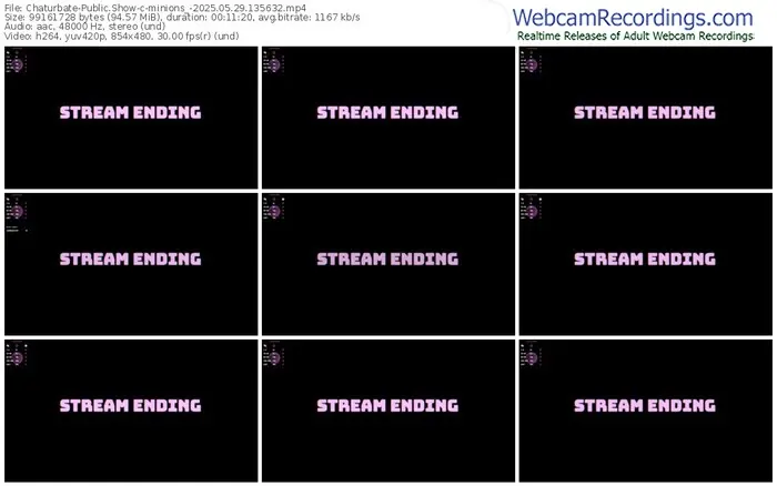 chaturbate-minions_-05-29-2025-13-56-32