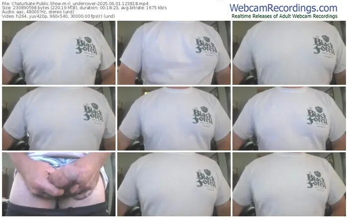 chaturbate-il_undercover-06-01-2025-12-38-18