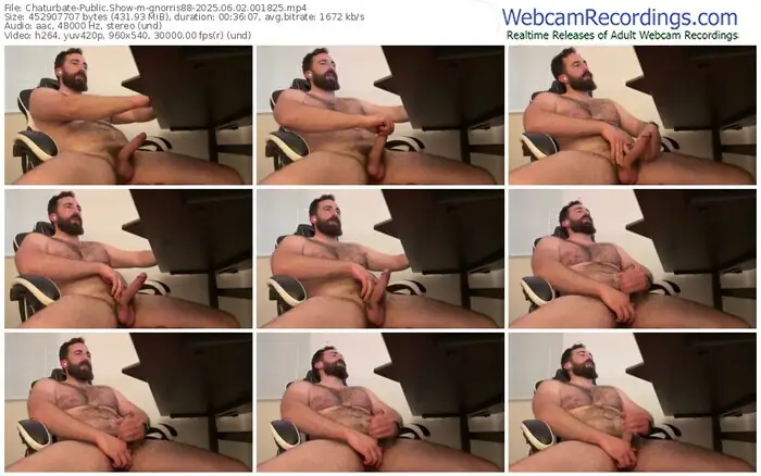 chaturbate-gnorris88-06-02-2025-00-18-25