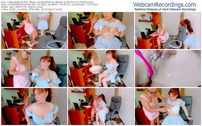 chaturbate-butterflyblue_dream-06-03-2025-13-56-08