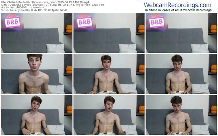 chaturbate-cute_brian-06-15-2025-14-04-28