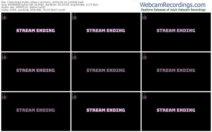 chaturbate-minions_-06-16-2025-12-28-28