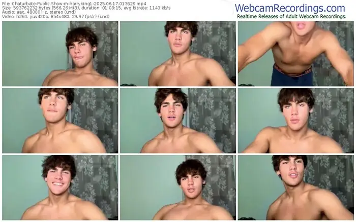 chaturbate-harryking1-06-17-2025-01-36-29