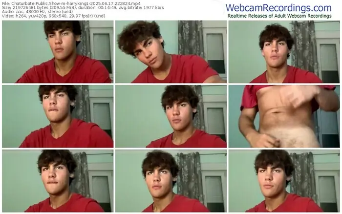 chaturbate-harryking1-06-17-2025-22-28-24