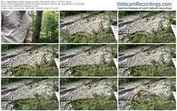 chaturbate-info_chat-06-17-2025-01-55-47