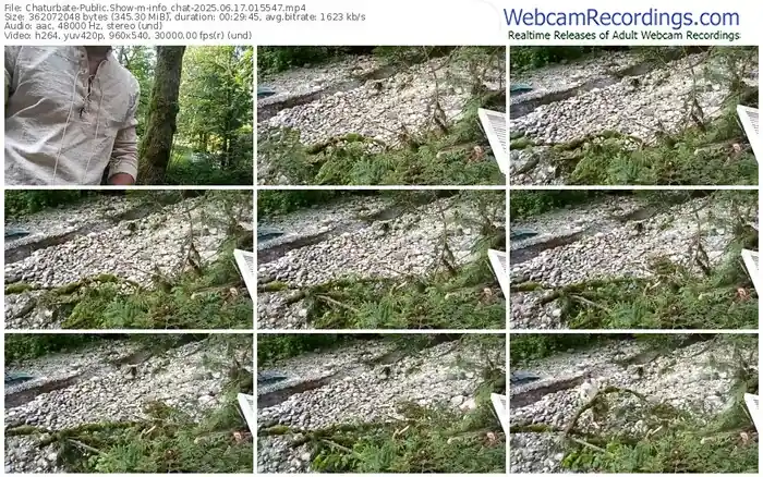 chaturbate-info_chat-06-17-2025-01-55-47