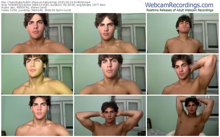 chaturbate-harryking1-06-19-2025-00-46-09