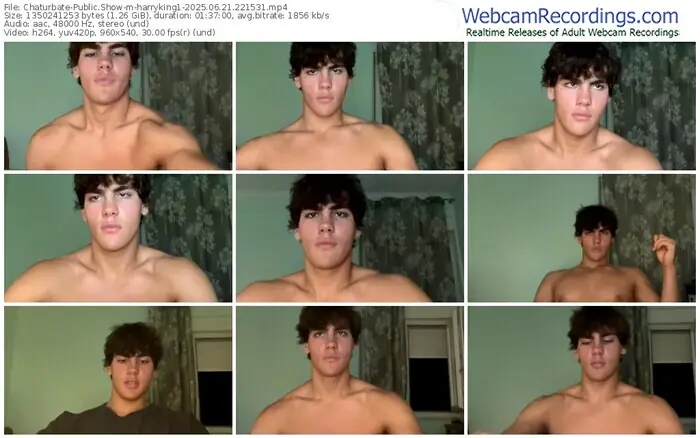 chaturbate-harryking1-06-21-2025-22-15-31