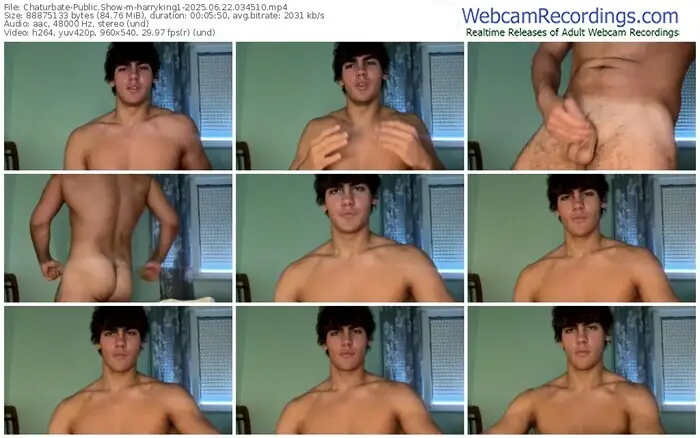 chaturbate-harryking1-06-22-2025-03-45-10