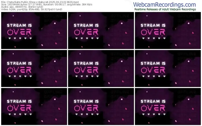 chaturbate-8abycat-06-23-2025-01-38-29