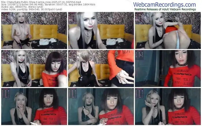 chaturbate-arina_rose-07-01-2025-00-25-54