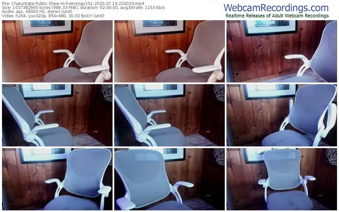 chaturbate-homerjay151-07-19-2025-23-20-33