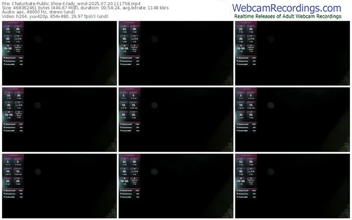 chaturbate-lady_wind-07-20-2025-11-17-58
