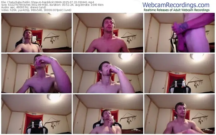 chaturbate-harddick19966-07-22-2025-03-04-41