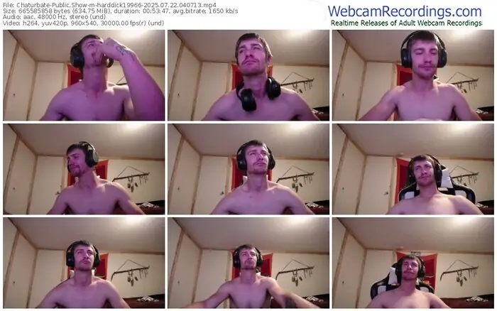 chaturbate-harddick19966-07-22-2025-04-07-13