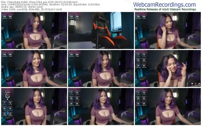 chaturbate-like_pie-08-03-2025-16-13-48