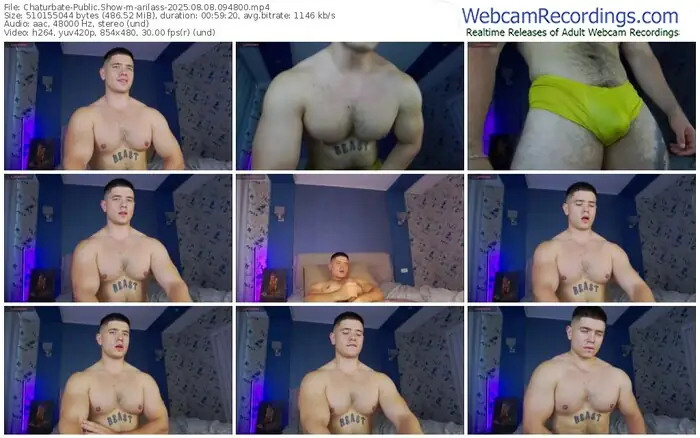 chaturbate-arilass-08-08-2025-09-48-00