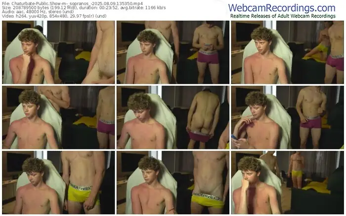 chaturbate-_sopranos_-08-09-2025-13-53-50
