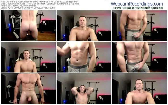 chaturbate-alpha_dominus_king-08-09-2025-18-26-10