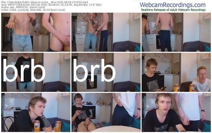 chaturbate-vince__dice-08-09-2025-15-16-32