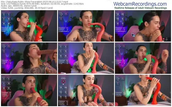 chaturbate-evarabbit-08-10-2025-12-13-17