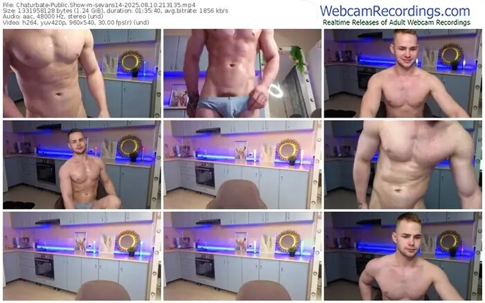 chaturbate-sevans14-08-10-2025-21-31-35
