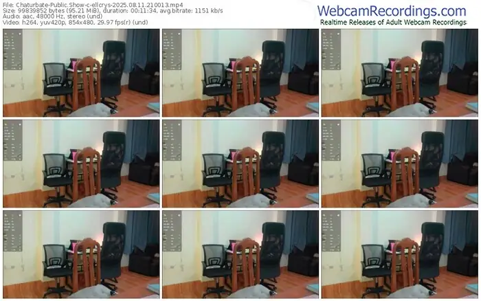chaturbate-ellcrys-08-11-2025-21-00-13