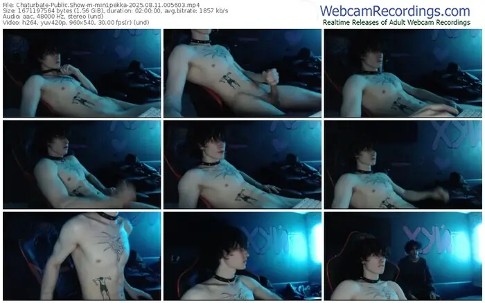 chaturbate-min1pekka-08-11-2025-00-56-03