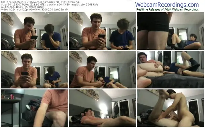 chaturbate-d_dart-08-12-2025-05-11-53