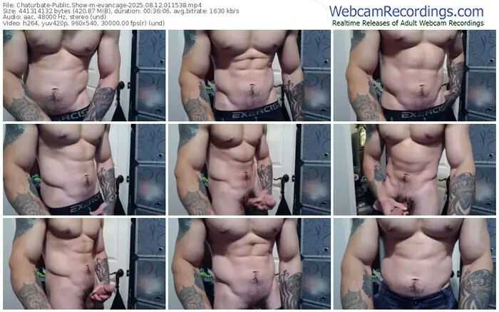 chaturbate-evancage-08-12-2025-01-15-38