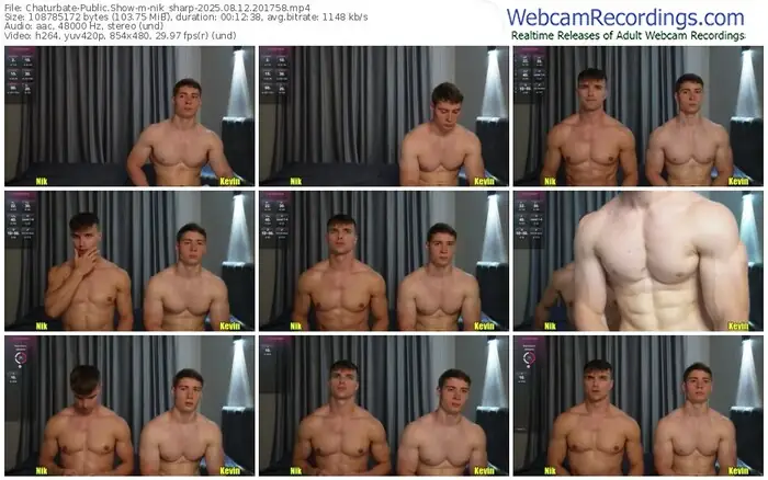 chaturbate-nik_sharp-08-12-2025-20-17-58