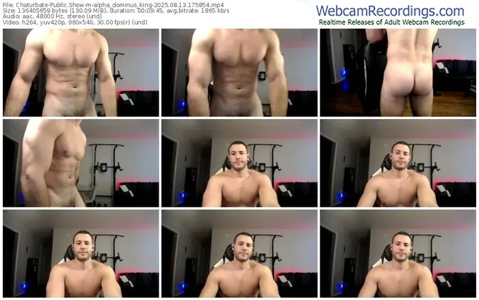 chaturbate-alpha_dominus_king-08-13-2025-17-58-54