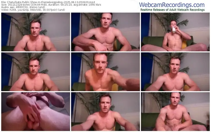 chaturbate-therealveggieboy-08-13-2025-05-39-20