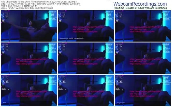 chaturbate-cinnamonrollsweb-08-14-2025-19-10-52