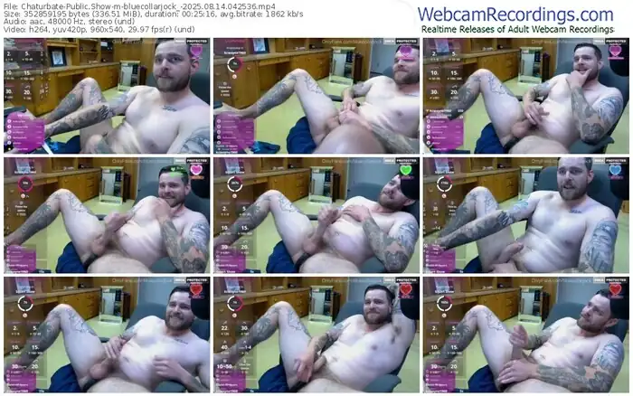 chaturbate-bluecollarjock_-08-14-2025-04-25-36