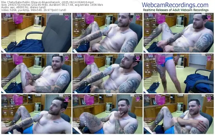 chaturbate-bluecollarjock_-08-14-2025-06-44-16