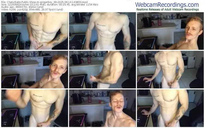 chaturbate-gingerboy_69-08-14-2025-14-38-00