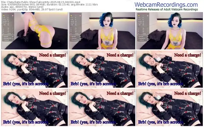 chaturbate-alicentity-08-15-2025-04-43-31