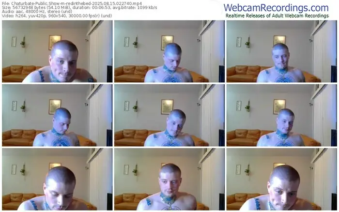 chaturbate-redinthebed-08-15-2025-02-27-40