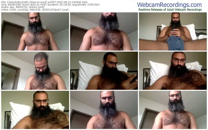 chaturbate-woof_wolf37-08-15-2025-16-39-36