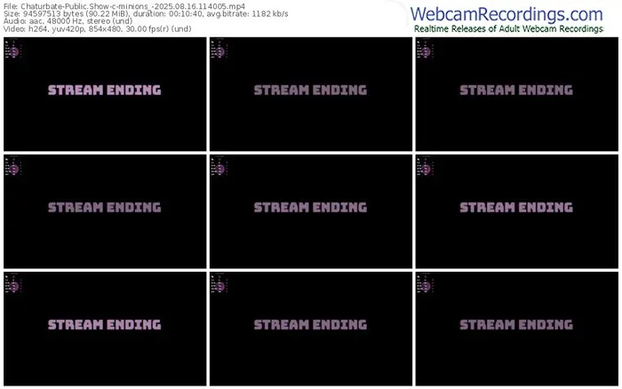 chaturbate-minions_-08-16-2025-11-40-05