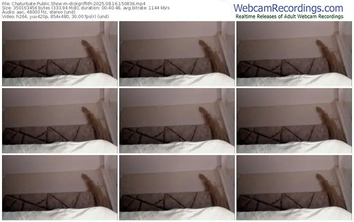 chaturbate-dickgriffith-08-16-2025-15-08-36