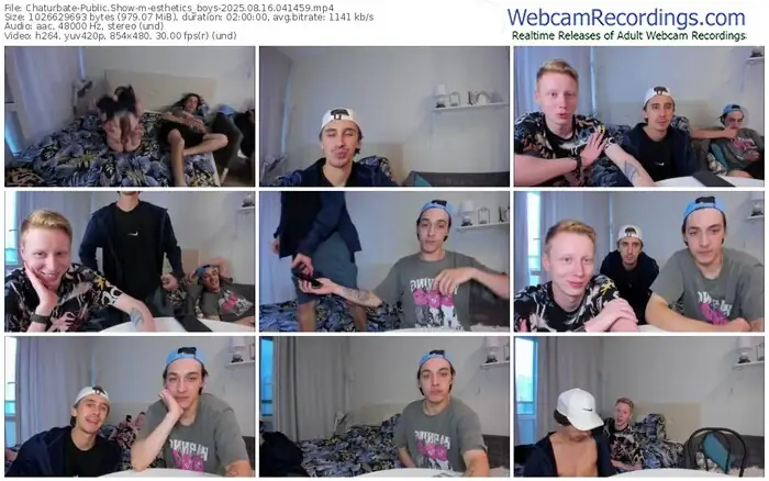 chaturbate-esthetics_boys-08-16-2025-04-14-59