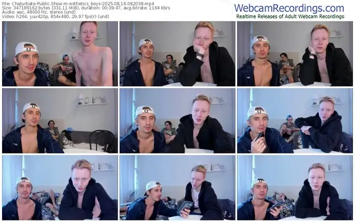 chaturbate-esthetics_boys-08-16-2025-08-20-38