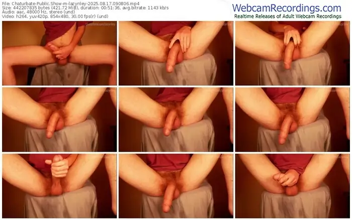 chaturbate-lazyriley-08-17-2025-09-08-06