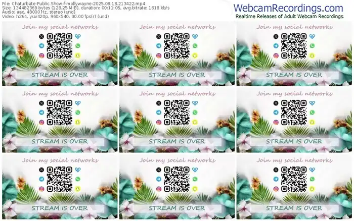 chaturbate-mollywayne-08-18-2025-21-34-22