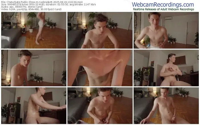 chaturbate-rusbradpitt-08-18-2025-13-21-34