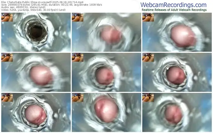 chaturbate-xoxowtf-08-18-2025-20-17-14